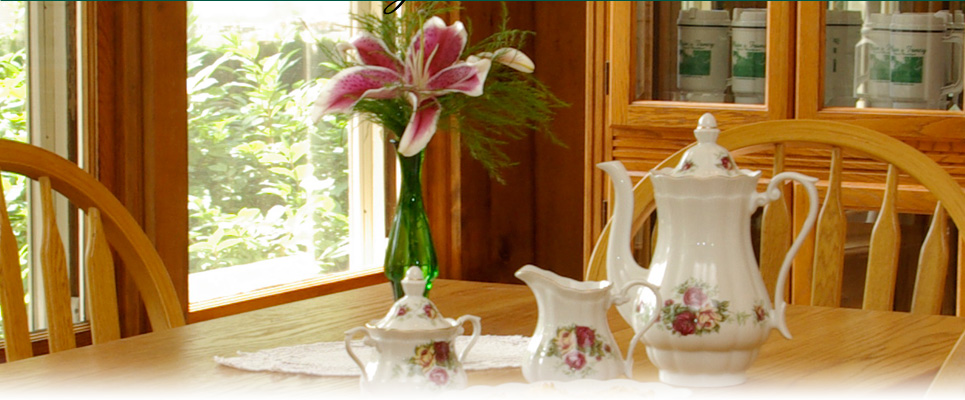 Plain & Fancy Bed and Breakfast Blog